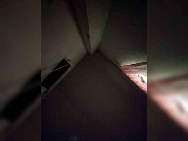 rosearebluee webcam