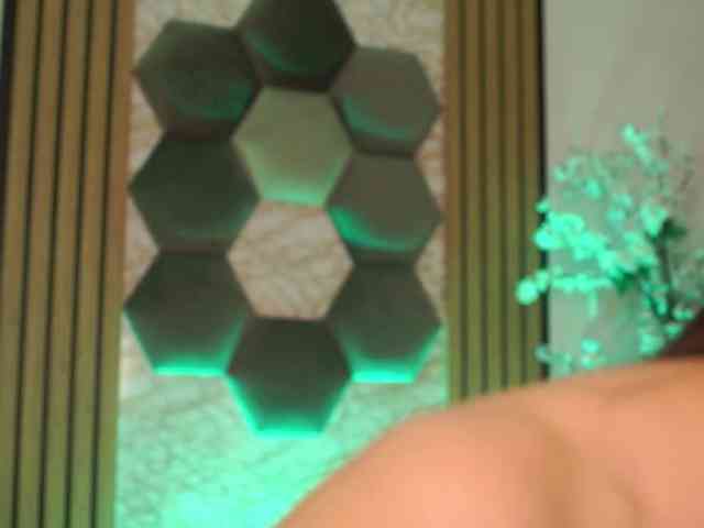 RubyFever