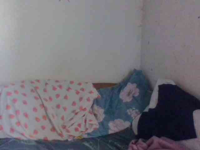 Christelley webcam