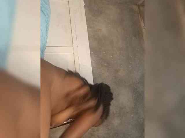 Sunshinekiki webcam