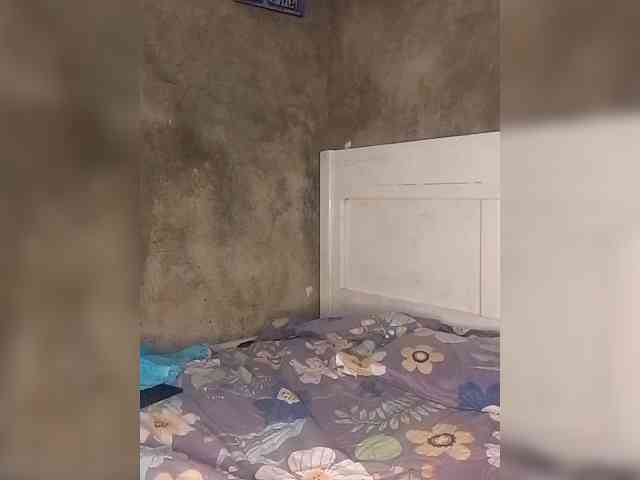 Sunshinekiki webcam