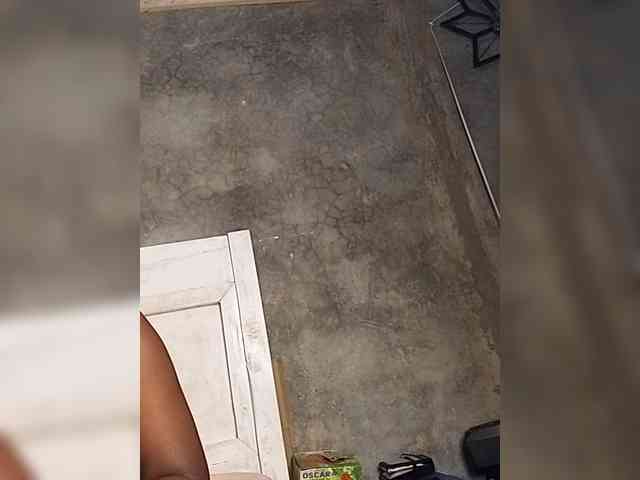 Sunshinekiki webcam