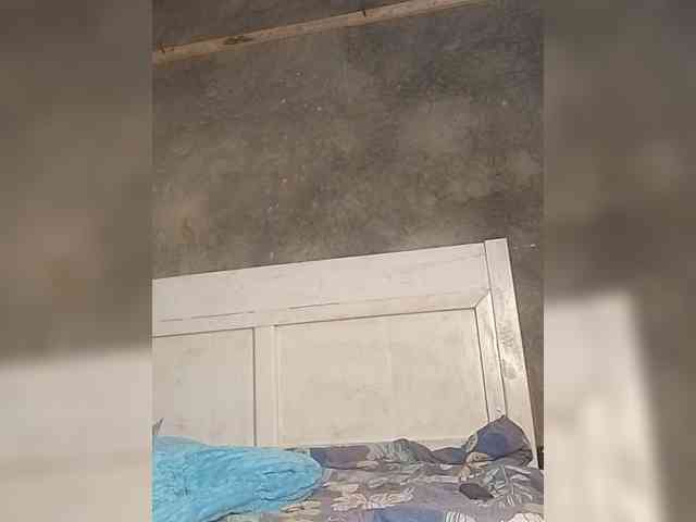 Sunshinekiki webcam