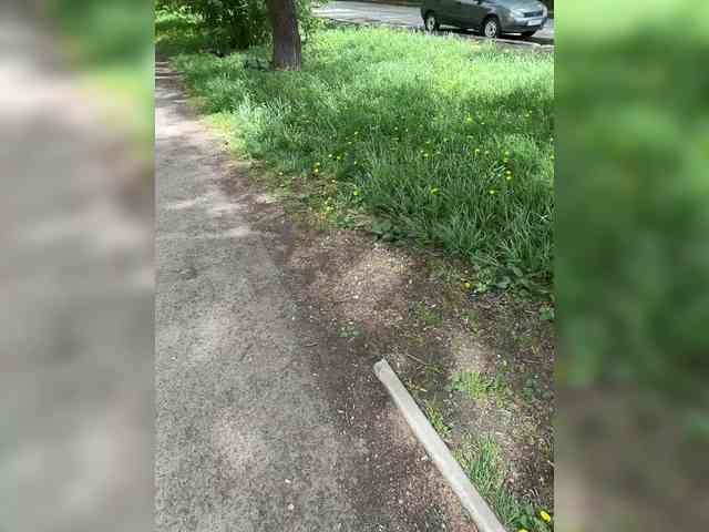 COMEDY99959