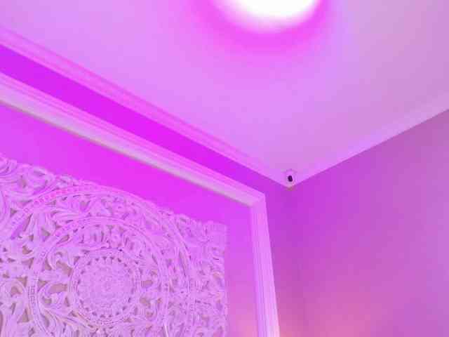 AmiraJones webcam