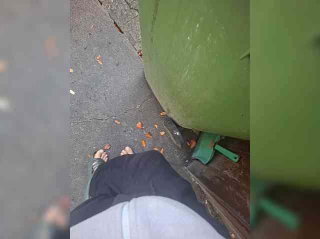 Pasha13d