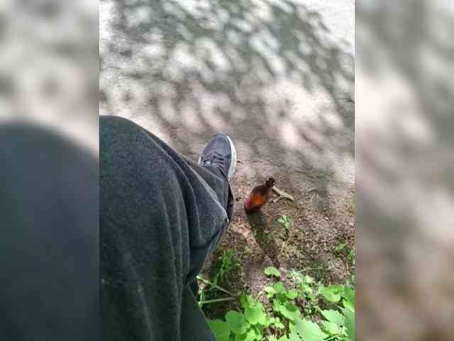 Pasha13d Pasha13d