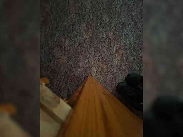 Pasha13d