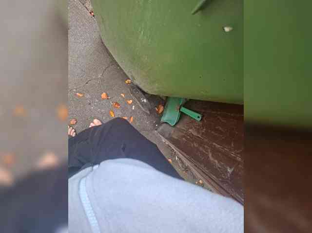 Pasha13d