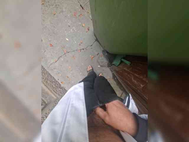 Pasha13d