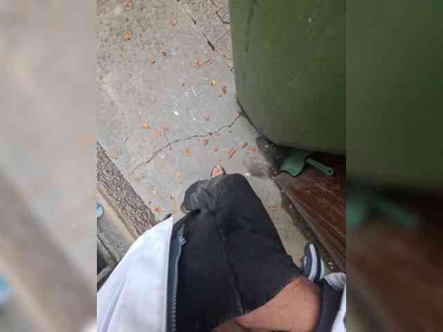 Pasha13d Pasha13d