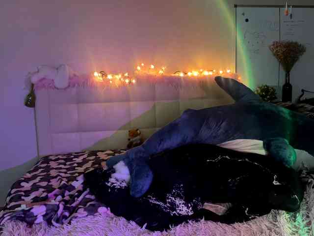 mypussysweet webcam