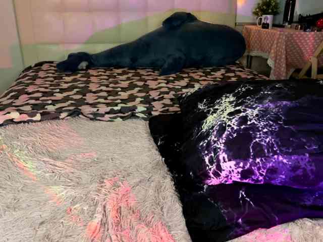 mypussysweet webcam
