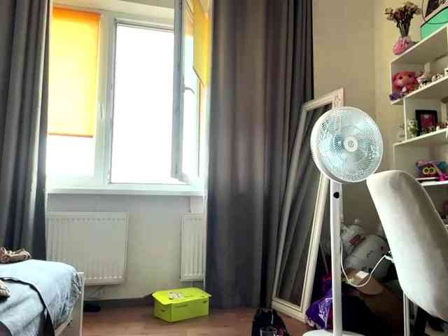KarriVenture webcam
