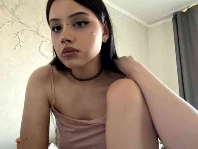 KarriVenture webcam