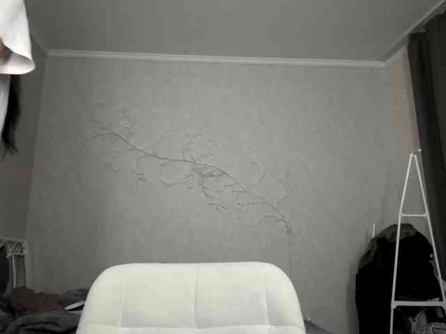 KarriVenture webcam
