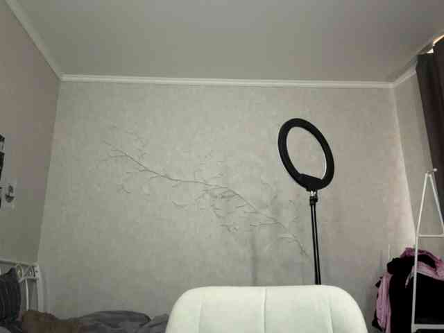 KarriVenture webcam