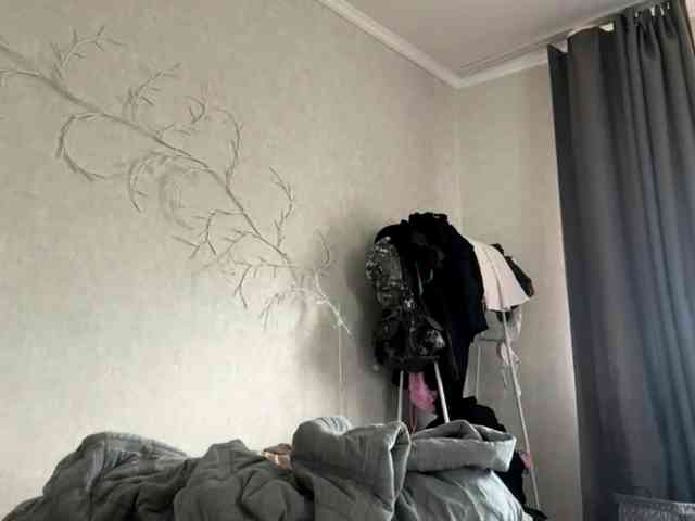 KarriVenture webcam