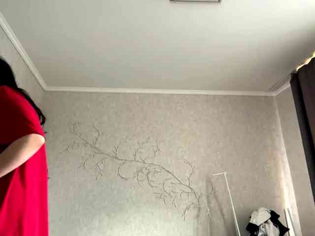 KarriVenture webcam