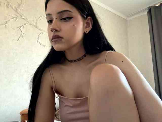 KarriVenture webcam