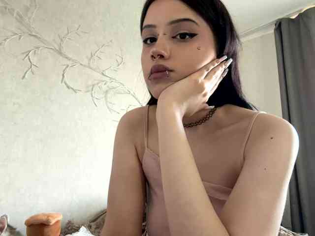 KarriVenture webcam