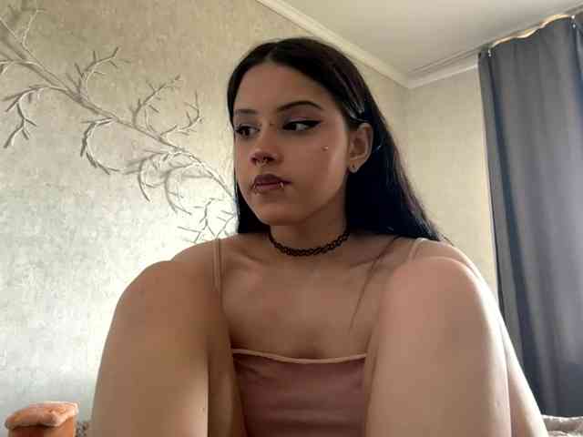 KarriVenture webcam