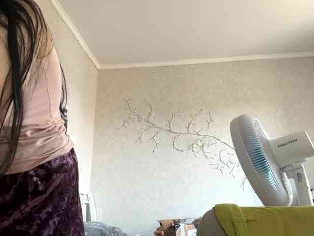 KarriVenture webcam