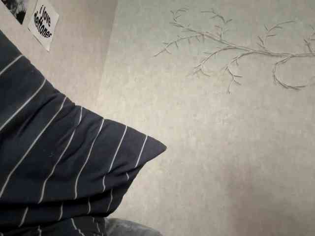 KarriVenture webcam