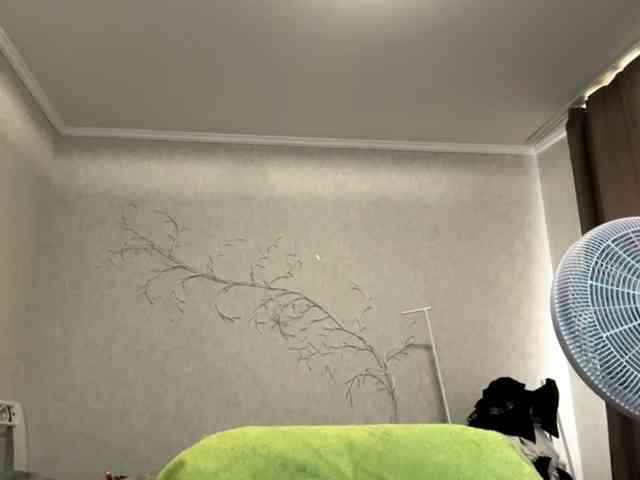 KarriVenture webcam