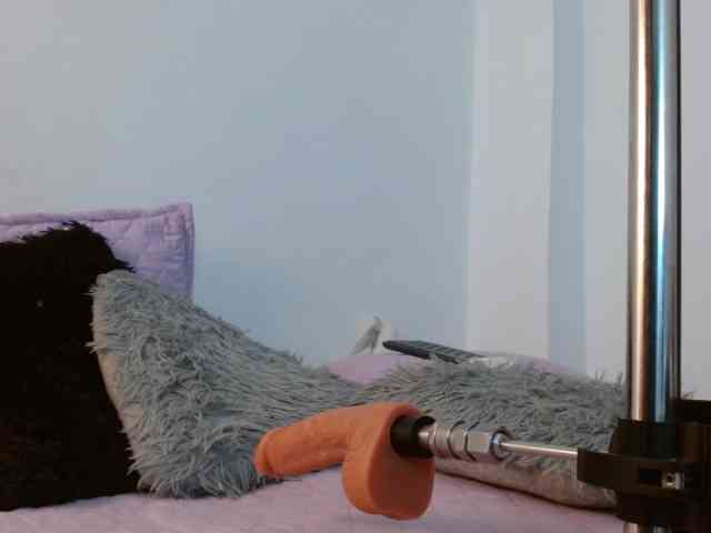 Annyrosse00