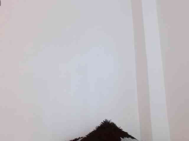 Annyrosse00 Annyrosse00