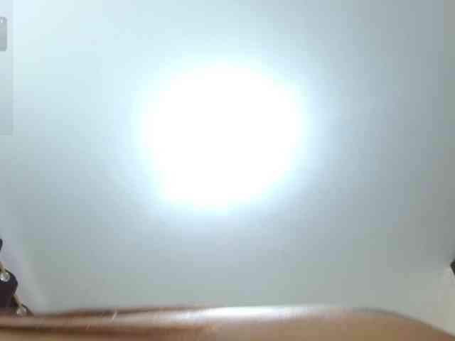 Modelo: Annyrosse00