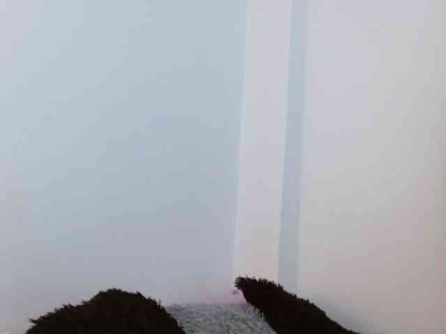 Annyrosse00
