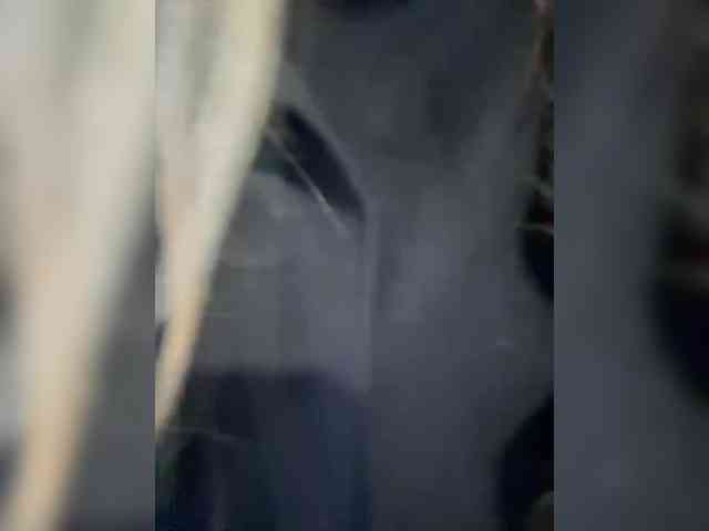 Miss-Etikaa webcam