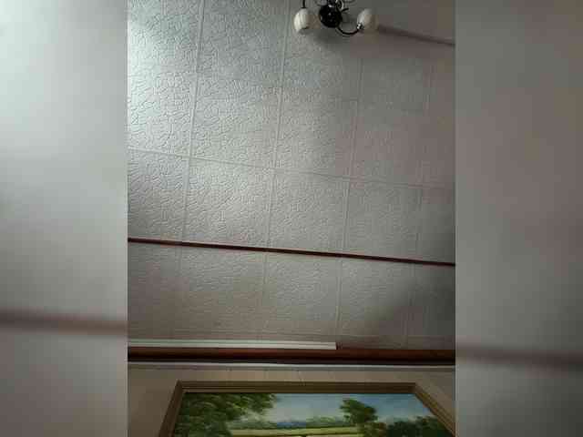 Miss-Etikaa webcam