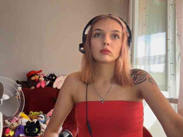 Evelin-Light webcam