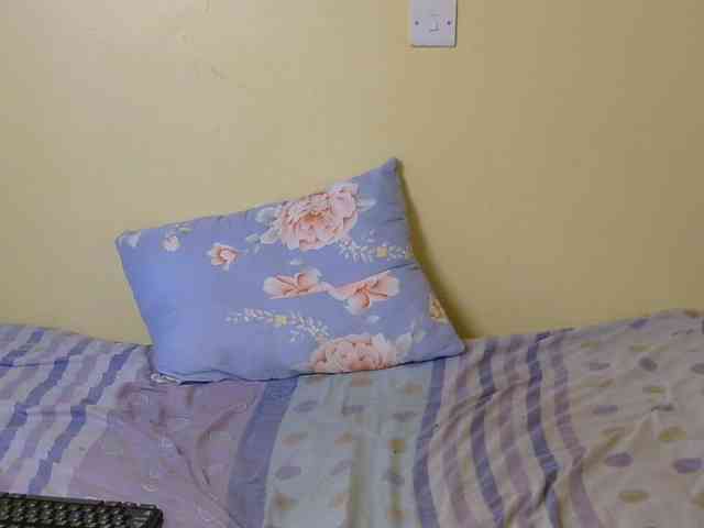 Essyfreaky webcam