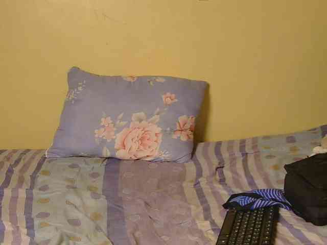 Essyfreaky webcam
