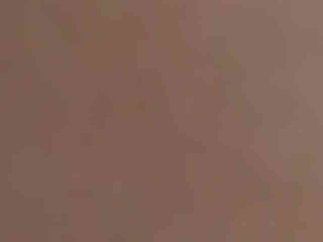 ElfLuna webcam