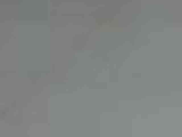 ElfLuna webcam