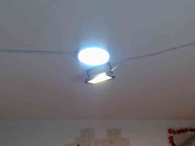 ElfLuna webcam