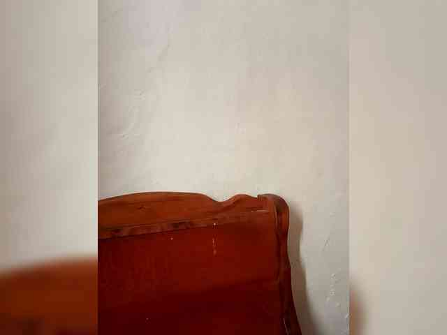 Model: Dana18-1
