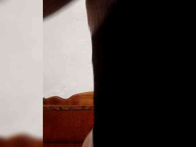 Dana18-1 webcam