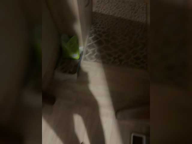 Goplay9