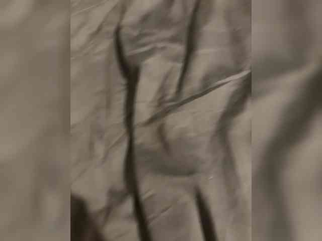 Goplay9