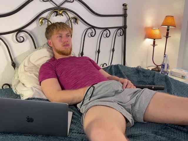 pavelrey pavelrey