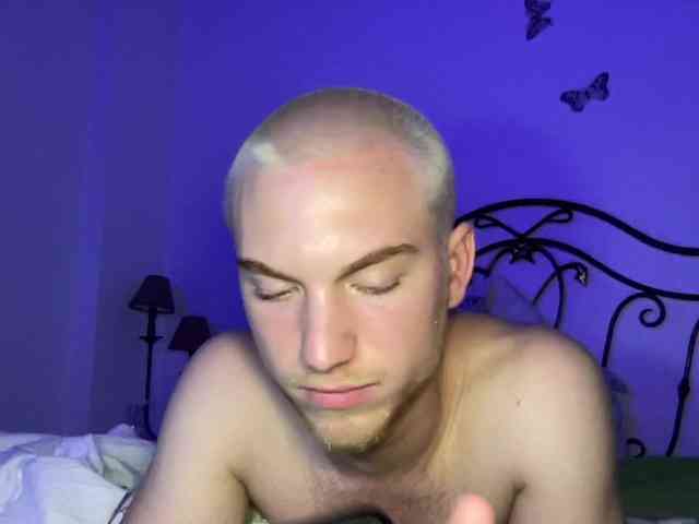 pavelrey pavelrey