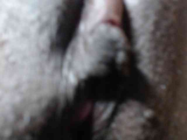 Sexyvian webcam