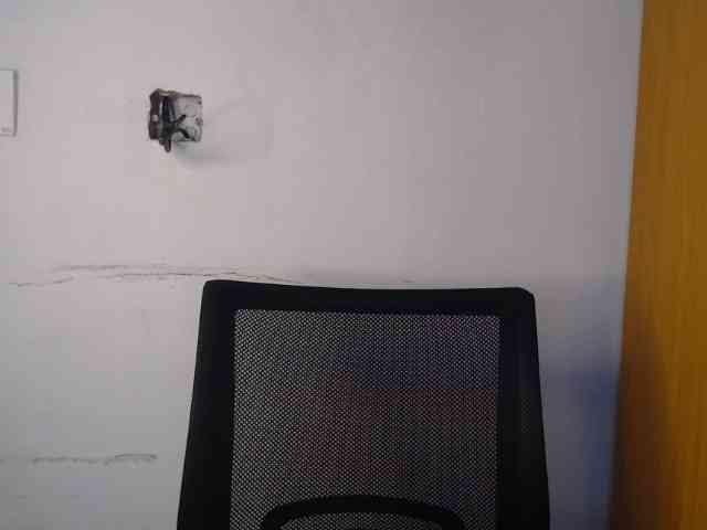 Sexyvian webcam