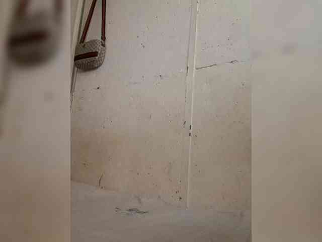 Crithian23